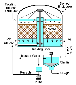 Trickling Water Filters Water Treatment Waste Water Treatment 