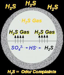 CORROSION IN SEWERS