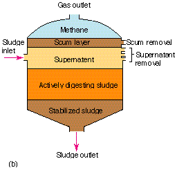 Type of Activated Sludge Process