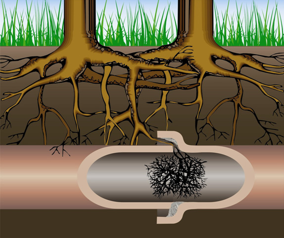 Sewer Pipe Selection by Operation