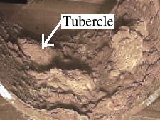 Tubercles in the Pipeline