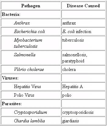 Pathogen and the Diseases Caused.